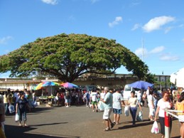 e0015343_9471911.jpg