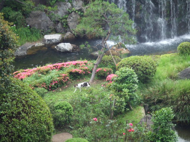 c0071545_10352865.jpg