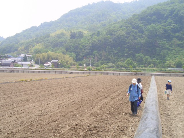 f0009451_458319.jpg