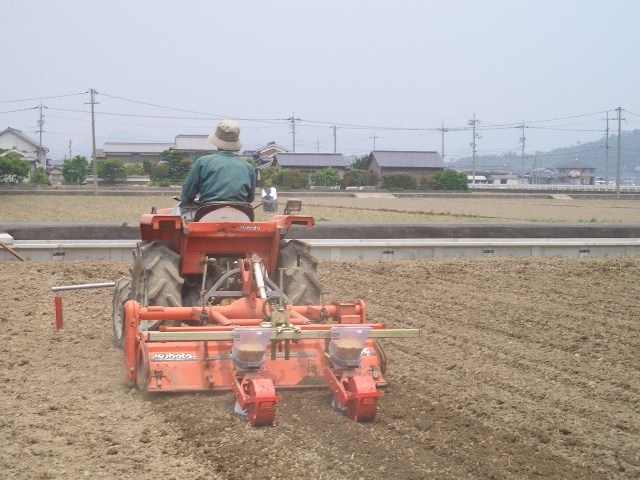 f0009451_459987.jpg