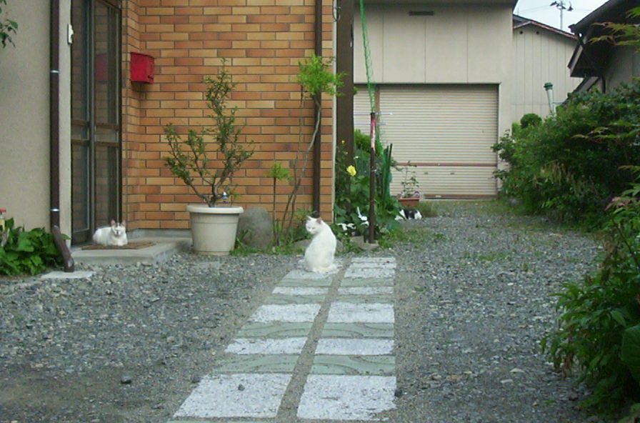a0029157_20405412.jpg