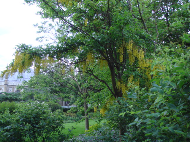e0078564_1750498.jpg