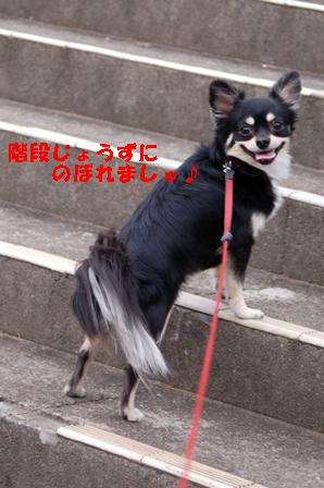 f0065768_19463111.jpg