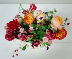 b0038378_12161349.jpg