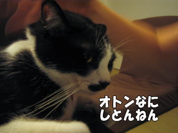 b0041182_021920.jpg