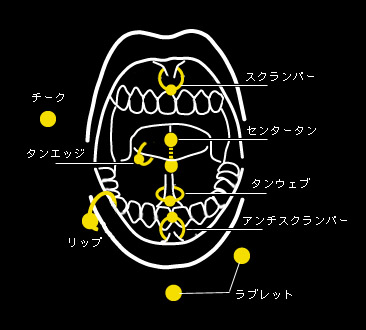 f0046385_8252483.jpg