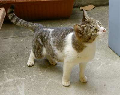 f0092389_936310.jpg
