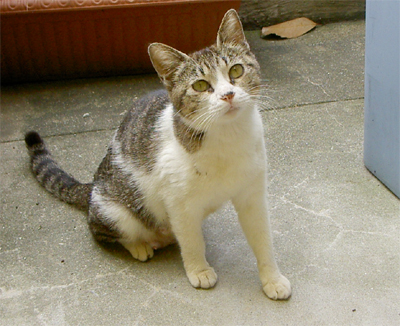 f0092389_9381833.jpg