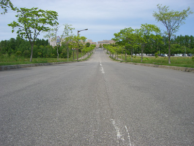 f0070493_20275331.jpg