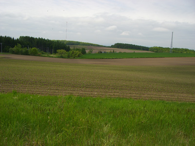 f0070493_20282217.jpg