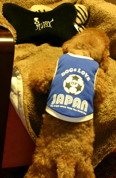 f0001895_18332388.jpg