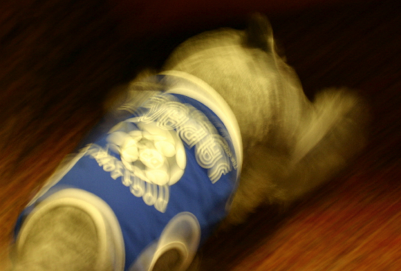 f0001895_18355436.jpg