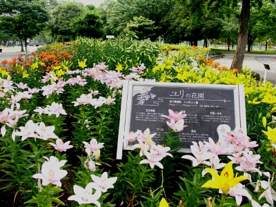 a0031000_15241925.jpg