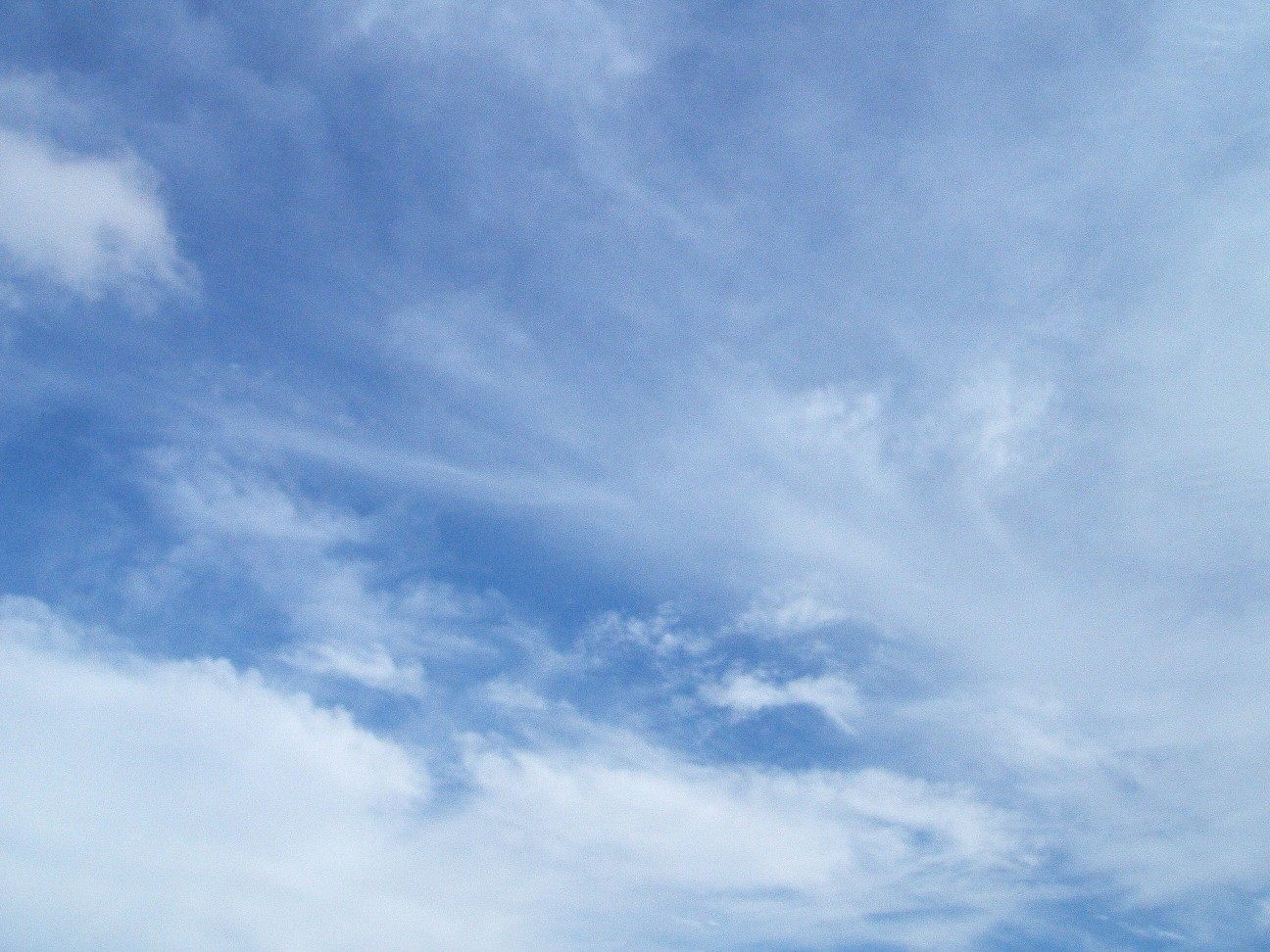 b0061010_162185.jpg