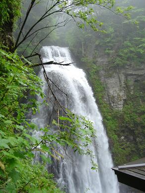 f0000521_11154595.jpg