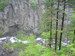 f0000521_1125847.jpg