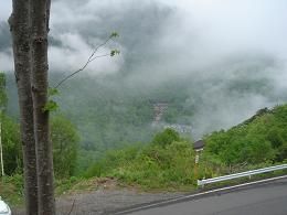 f0000521_1150710.jpg
