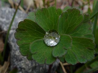 f0000521_16314246.jpg