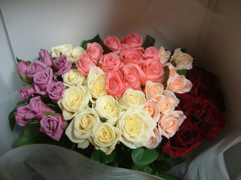 d0012323_2344549.jpg