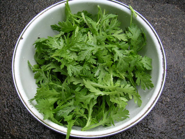 a0020929_957194.jpg