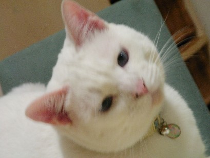 f0002833_22462734.jpg