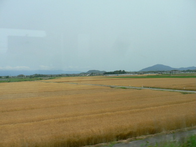 a0063364_22522683.jpg