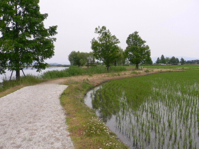 a0063364_22555796.jpg