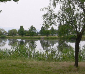 a0063364_2311154.jpg