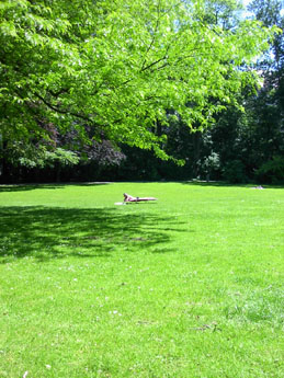 f0032969_0224651.jpg