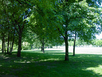 f0032969_0351019.jpg