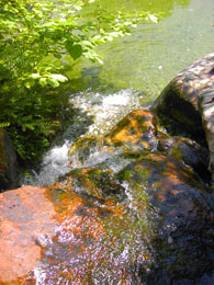 f0032969_0382212.jpg