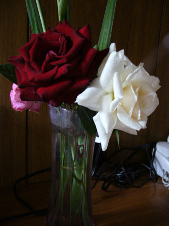 e0063270_2329666.jpg