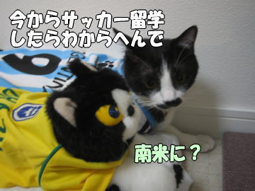 b0041182_232616100.jpg