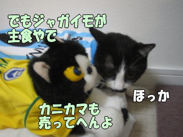 b0041182_23262528.jpg
