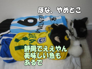 b0041182_23263112.jpg