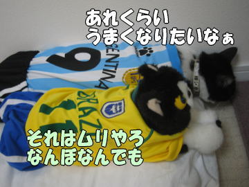 b0041182_2326811.jpg