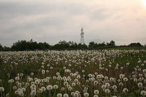 e0081184_17242380.jpg