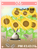 ひまわり