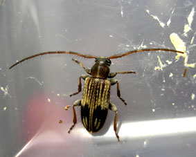 e0083097_204769.jpg