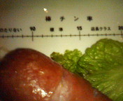 d0019500_291669.jpg