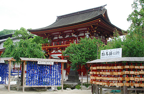 c0049601_21404838.jpg