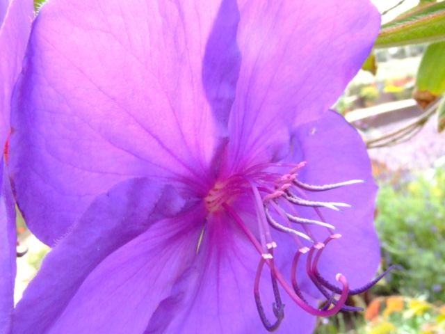 c0062603_158160.jpg