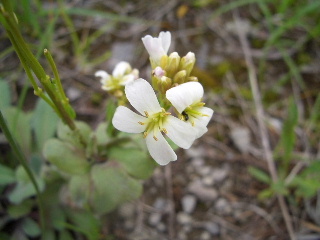 d0050007_1925661.jpg