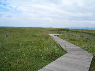 d0050007_19324057.jpg
