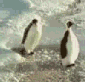 f0085810_15361559.gif