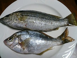 e0026017_2351461.jpg