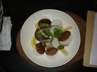 e0003819_1724051.jpg