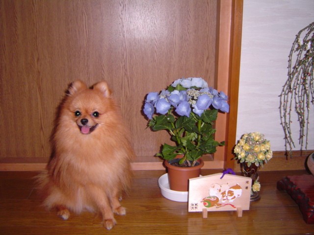 f0012924_23182587.jpg