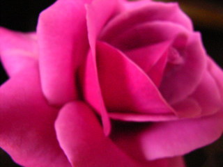 a0070831_2051635.jpg