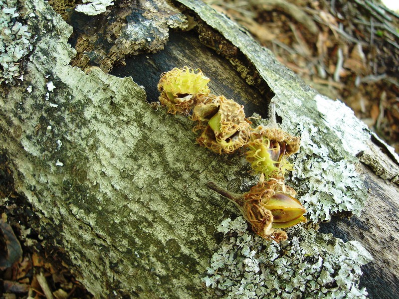 f0039234_17512496.jpg